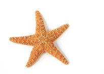 chaque action compte