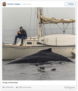 débrancher pour ne pas passer à côté de l'essentiel