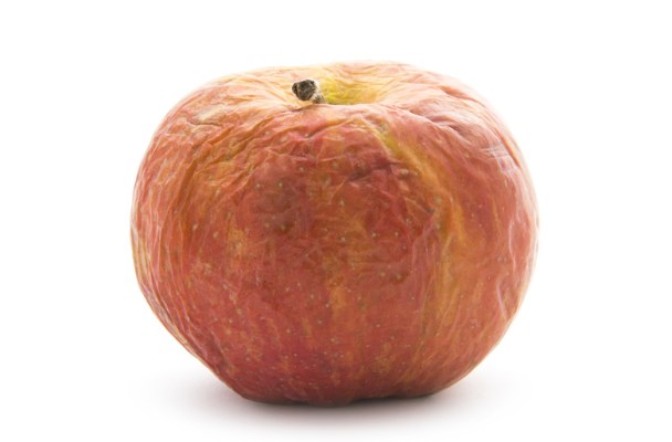 Les rides expriment et gravent dans notre visage au fil du temps nos émotions