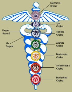 les chakras sont liés entre eux via la kundalini