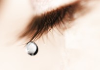 nos émotions sont nos guides, en connexion avec notre âme