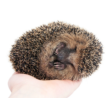 se recentrer sur soi quand on est au bord de la dépression